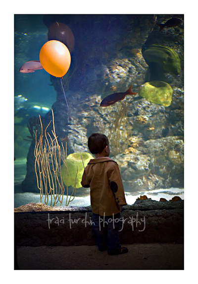 aquarium and balloon