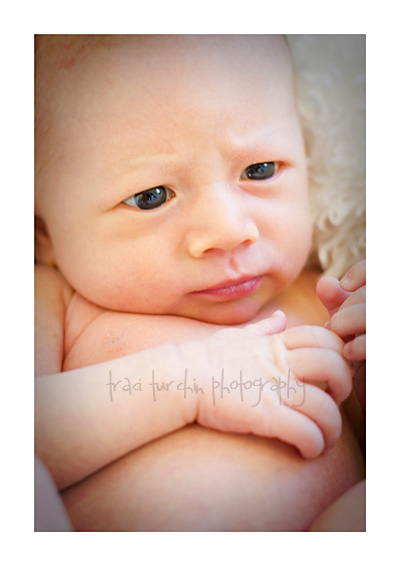 newborn portrait photography family