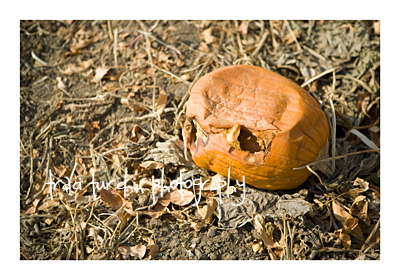 ugly pumpking photography