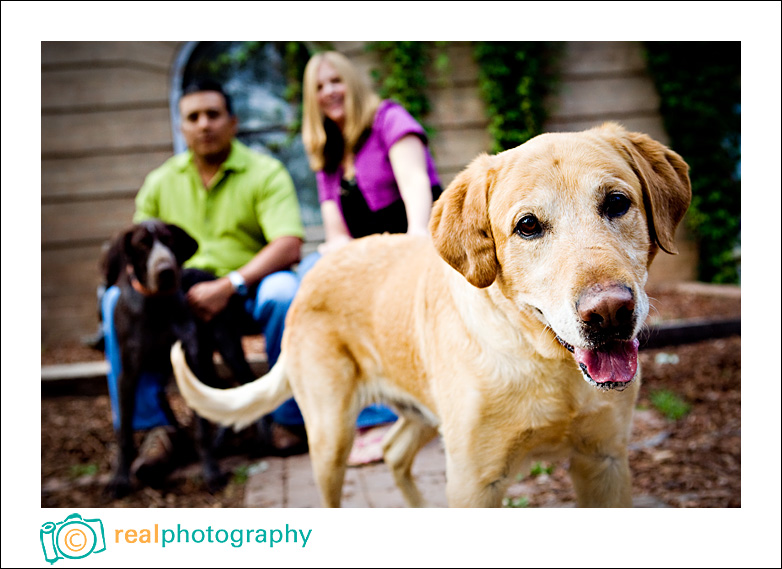 engagement photographers colorado springs