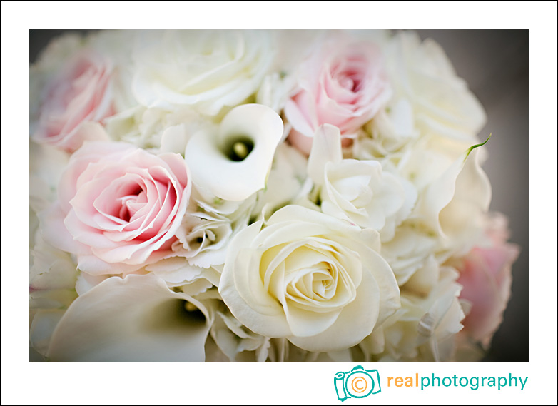 wedding photographers colorado springs