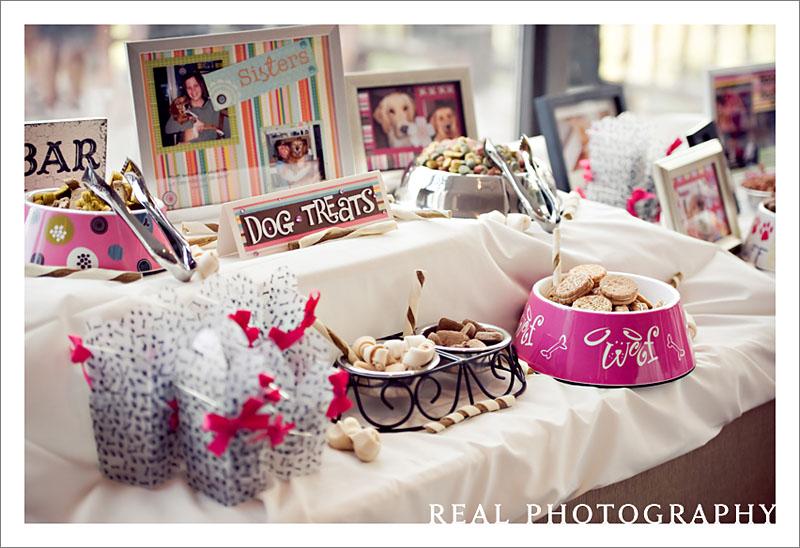 wedding idea candy bar for dogs and cats pets