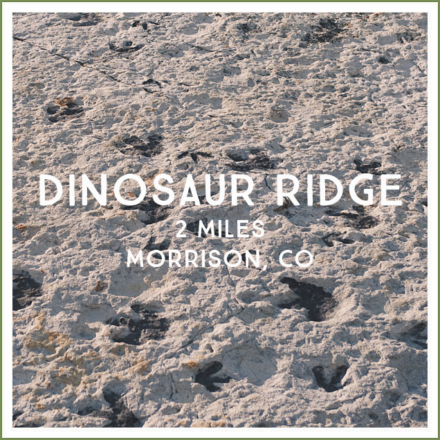 dinosaur_ridge_trail