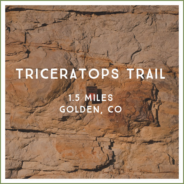 triceratops_trail