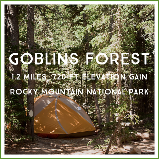 goblins-forest-backpacking-wilderness-site-review