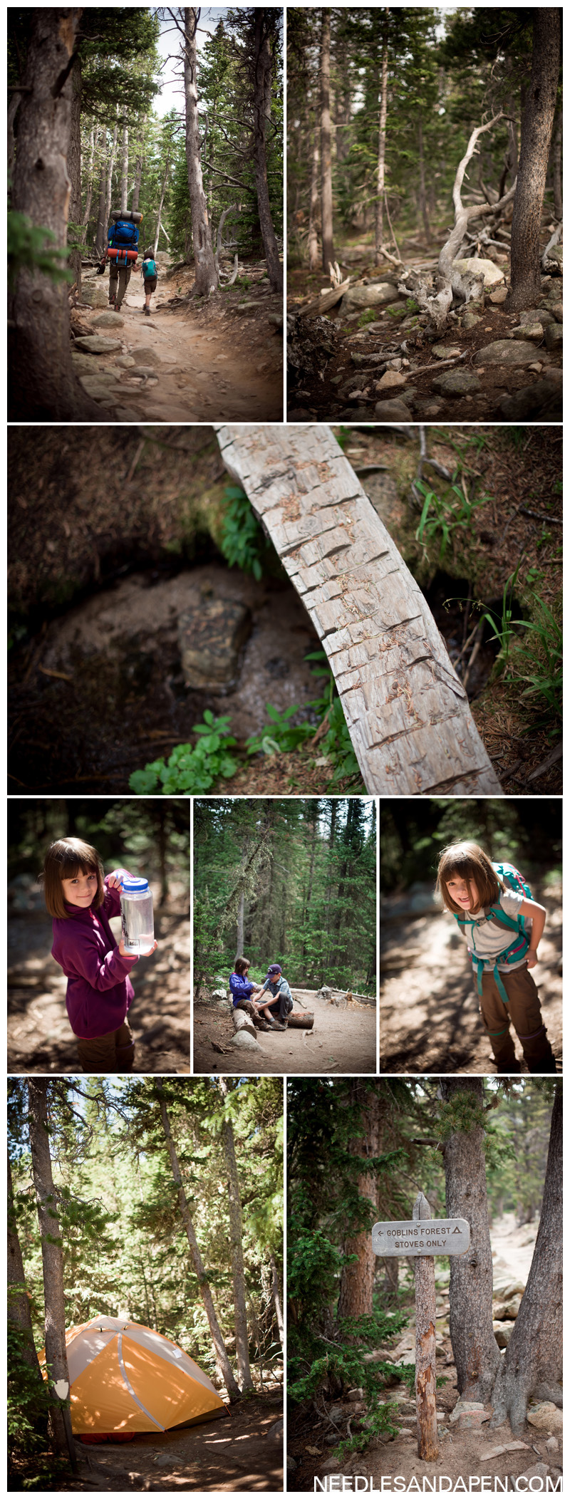 rmnp goblins forest wilderness site review