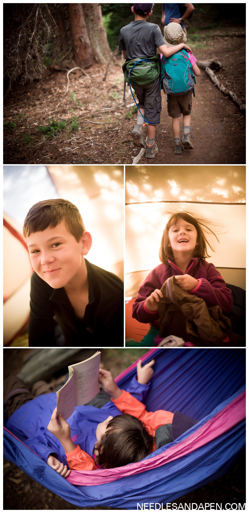 rmnp goblins forest campsite