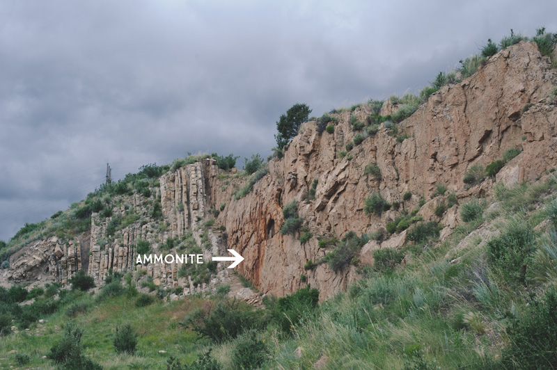 red rocks canyon fossils