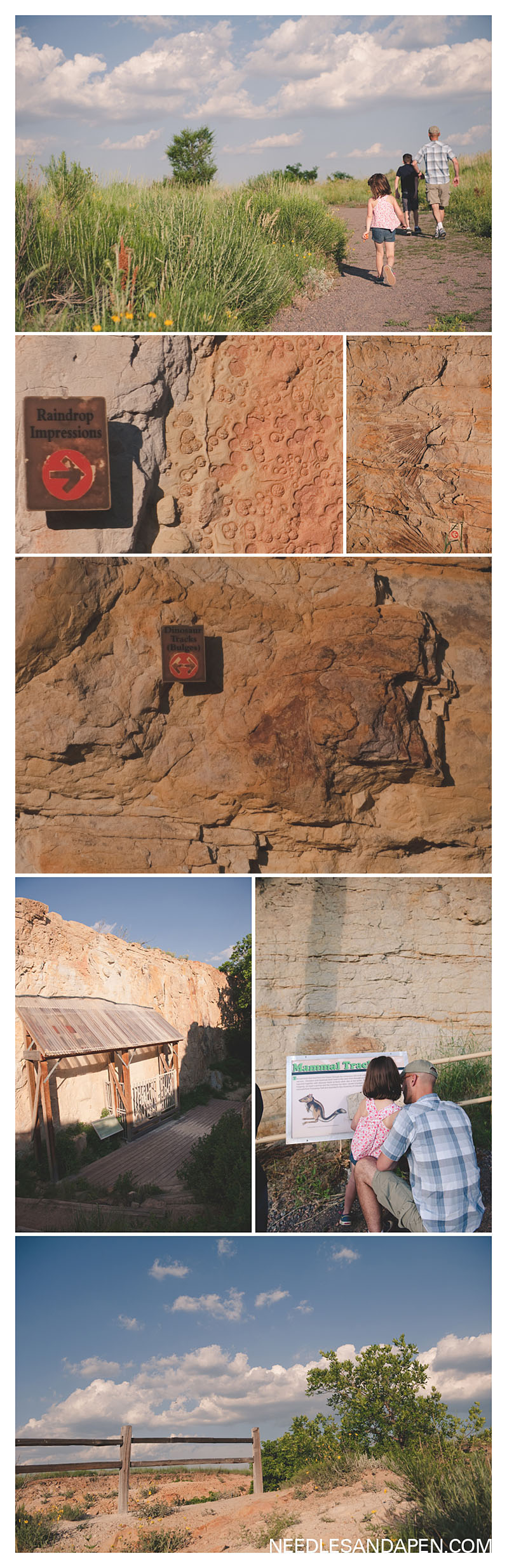 triceratops_trail_review_family_hike